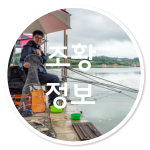 조황 정보