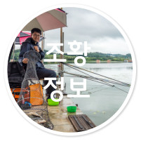 조황 정보